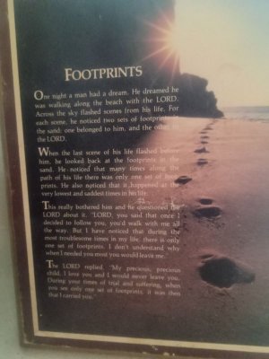 fpimage000000 (71).jpg