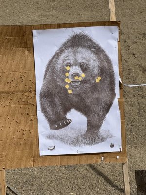 beartarget 3726.jpg