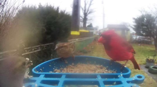 WhatsApp Image 2026-03-12 at 18.36.45 (4).jpeg