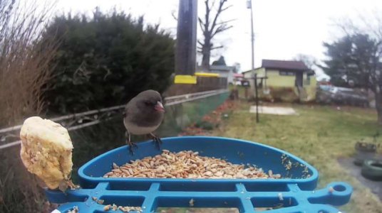 WhatsApp Image 2026-03-12 at 18.36.45 (3).jpeg