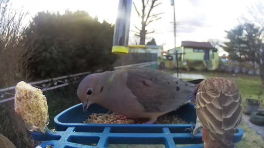 WhatsApp Image 2026-03-12 at 18.36.45 (1).jpeg