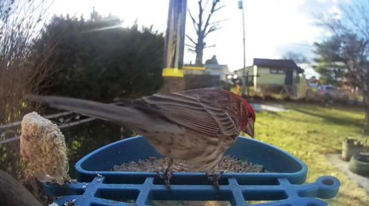 WhatsApp Image 2026-03-12 at 18.36.45.jpeg