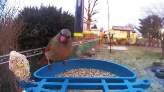 WhatsApp Image 2026-03-13 at 16.47.52.jpeg