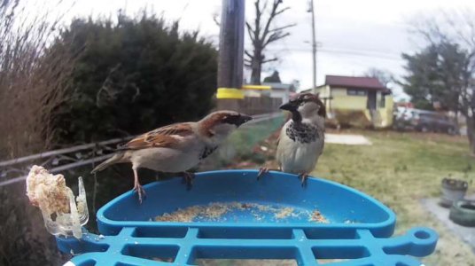 WhatsApp Image 2026-03-13 at 16.46.51 (3).jpeg