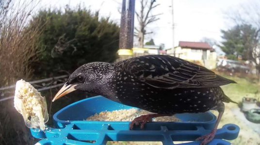 WhatsApp Image 2026-03-13 at 16.46.51 (1).jpeg