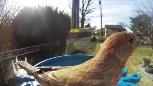 WhatsApp Image 2026-03-13 at 16.46.51.jpeg