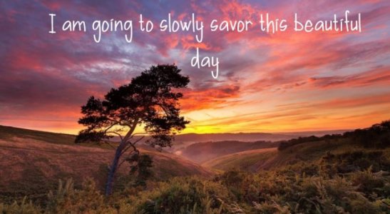 savorTheDay.JPG