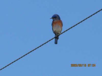 IMG_7107.JPG IMG_7107.JPG