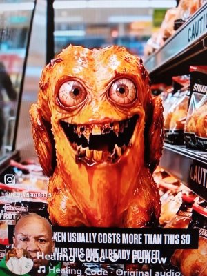 20260316_041902.jpg 20260316_041902.jpg