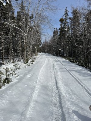 IMG_2803.jpeg IMG_2803.jpeg