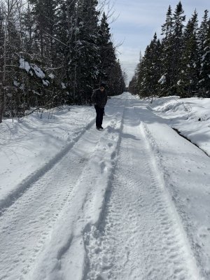 IMG_2805.jpeg IMG_2805.jpeg