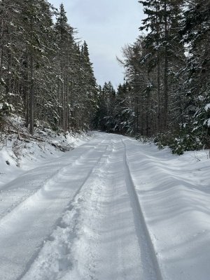 IMG_2800.jpeg IMG_2800.jpeg