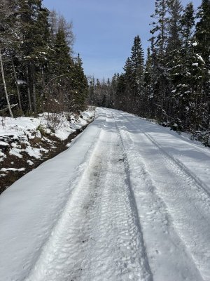 IMG_2804.jpeg IMG_2804.jpeg