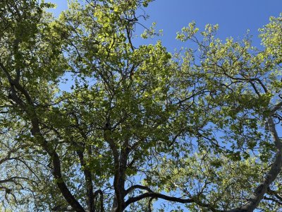 IMG_9507 reduced.jpg