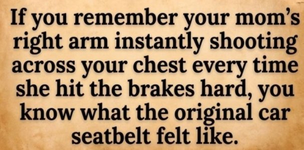 original seatbelt.jpg