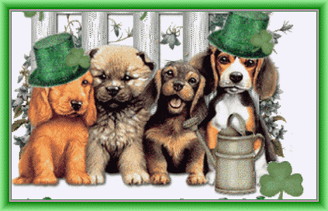 St Paddy day.gif
