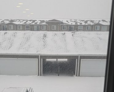 snow today jpeg - Copy.jpg