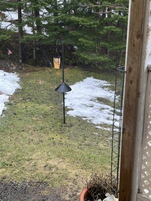 IMG_2812.jpeg IMG_2812.jpeg