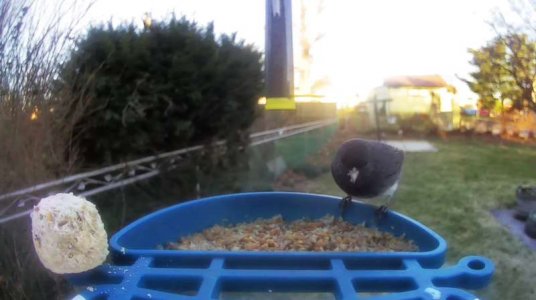 WhatsApp Image 2026-03-17 at 15.36.23 (1).jpeg