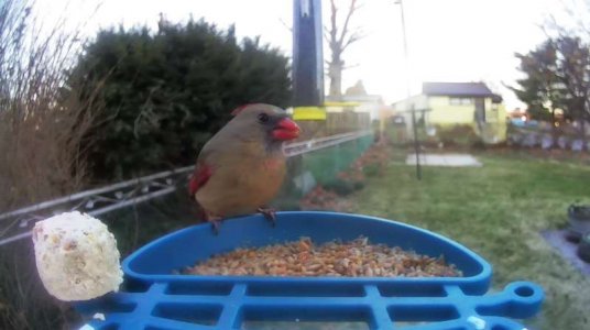 WhatsApp Image 2026-03-17 at 15.36.22 (1).jpeg