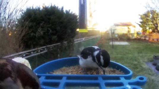 WhatsApp Image 2026-03-17 at 15.36.23.jpeg