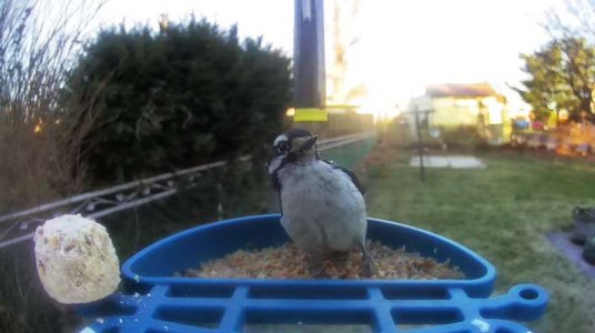 WhatsApp Image 2026-03-17 at 15.36.22 (2).jpeg