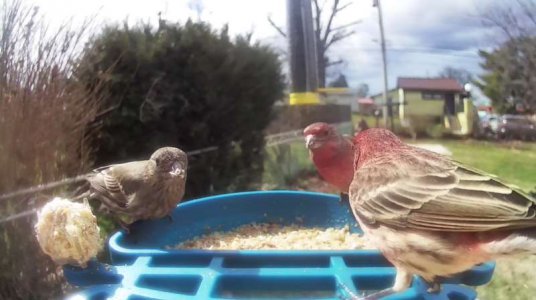 WhatsApp Image 2026-03-17 at 15.36.22.jpeg