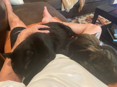 Andy & Bugsy on Lap.jpg