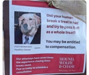 Screenshot 2026-03-18 at 3.41.47 PM.jpeg