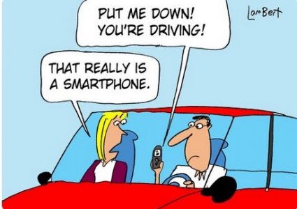 1773868728103 Large.jpeg