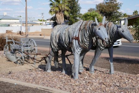 240503 017 Orroroo.jpg