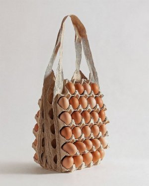 bag eggs.jpg