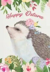 1774013477970.jpeg 1774013477970.jpeg