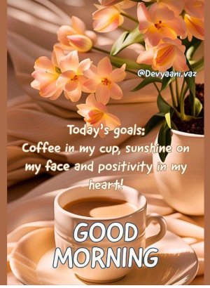 Screen Shot 2024-11-15 at 1.15.29 PM Large.jpeg