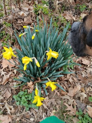 WhatsApp Image 2026-03-20 at 15.27.15.jpeg