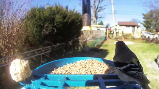 WhatsApp Image 2026-03-20 at 15.35.23 (1).jpeg