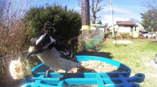 WhatsApp Image 2026-03-20 at 15.35.23 (3).jpeg