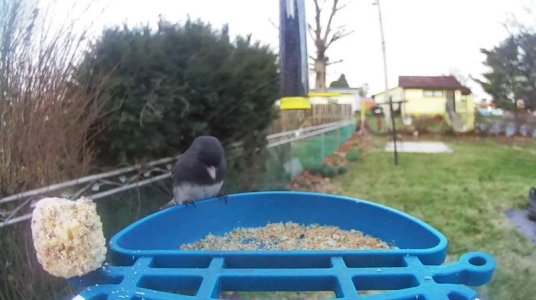 WhatsApp Image 2026-03-20 at 15.35.23 (4).jpeg