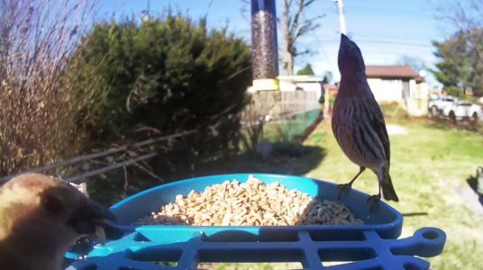 WhatsApp Image 2026-03-20 at 15.35.23.jpeg