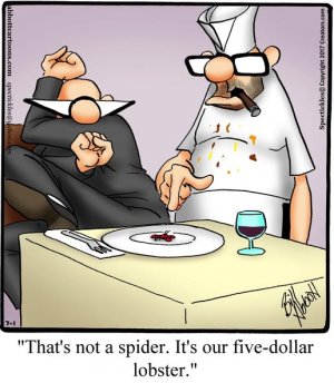 5 dollar lobster.jpg