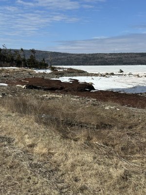 IMG_2859.jpeg IMG_2859.jpeg