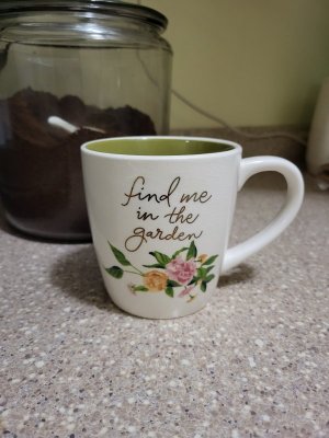 1770646834794blob (2).jpg