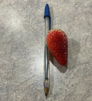 strawberry.jpg