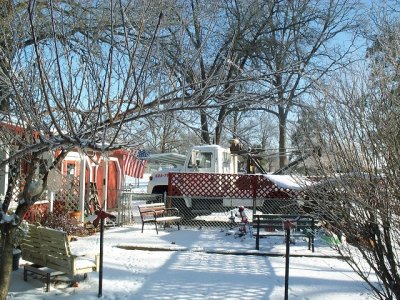 Frankie.jpg Frankie.jpg