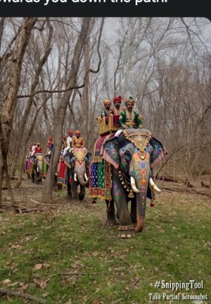 Snipping_2026-03-22-15-49-06.jpg Snipping_2026-03-22-15-49-06.jpg