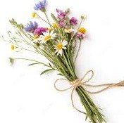 02226bouquet.jpg