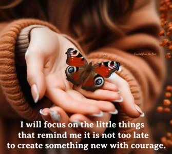 IMG_20260323_075055.jpg IMG_20260323_075055.jpg