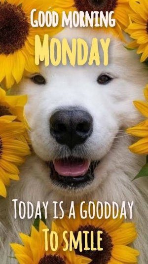 IMG_2916.jpeg IMG_2916.jpeg