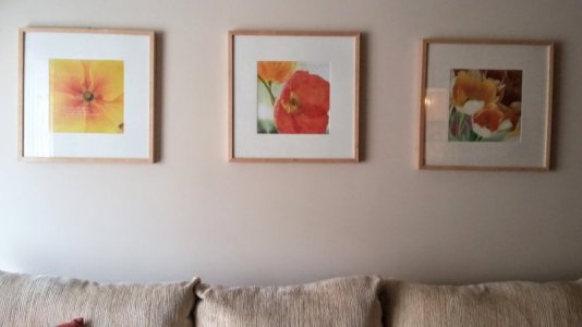 20160821_151845.jpg 20160821_151845.jpg