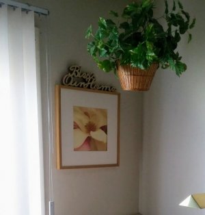 20171213_091501.jpg 20171213_091501.jpg